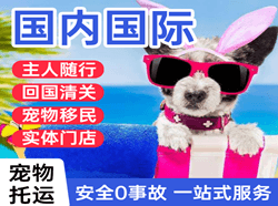 梅州梅县机场快运国际宠物托运 【国
